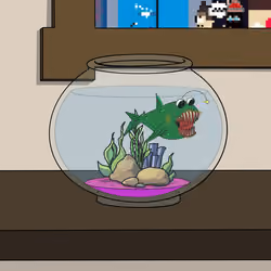 Average Goldfish #66