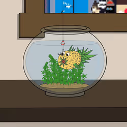 Average Goldfish #235