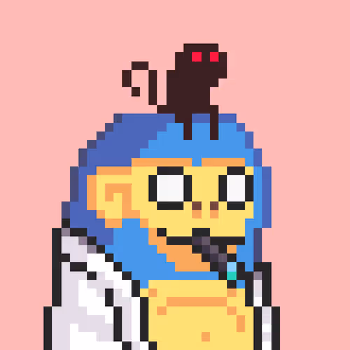 Chunkymonkeysnft