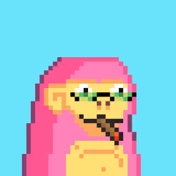 Chunky Monkeys #334