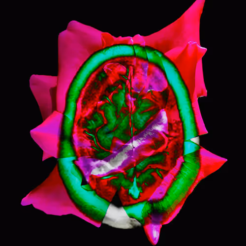 Distorted Flowers 348822433