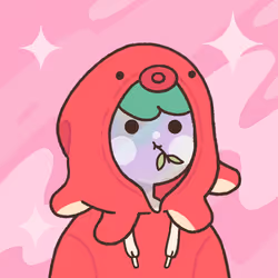 Boki #478