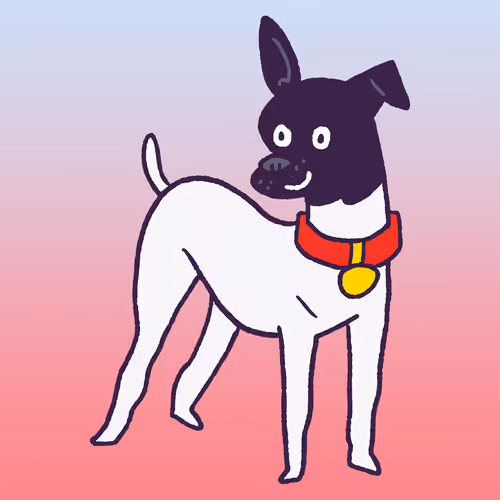 Japanese Terrier #541