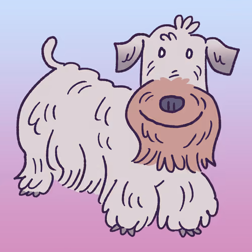 Cesky Terrier #590