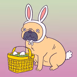 Frenchie #398