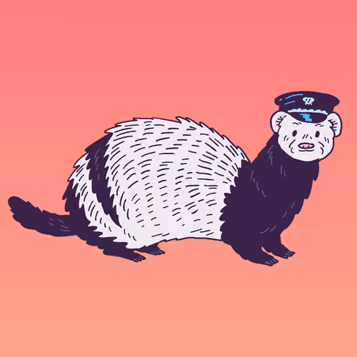 Ferret #1287