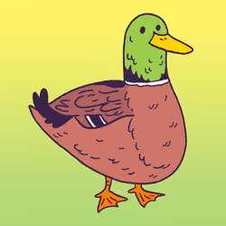 Duck #1657