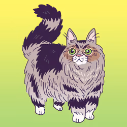 Norwegian Forest Cat #1709