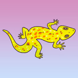 Gecko #243