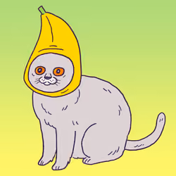Banana Chartreux #1632