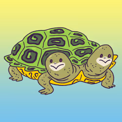 919