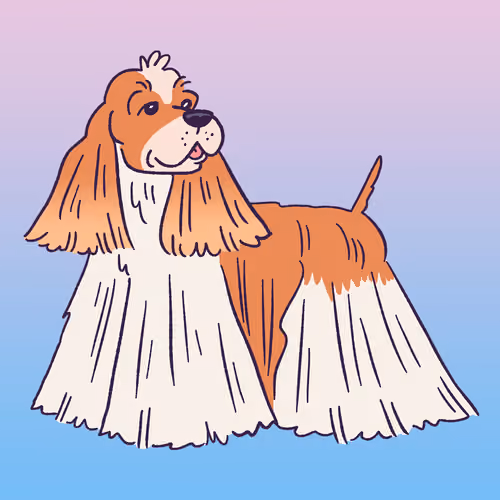 Cocker Spaniel #877