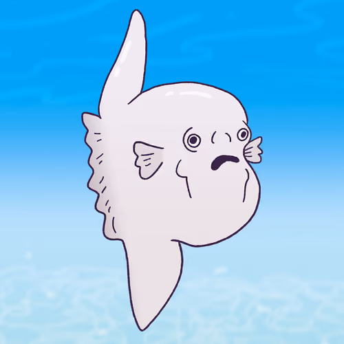 Ocean Sunfish #722