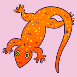 797