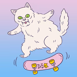 Turkish Skate Cat #1375