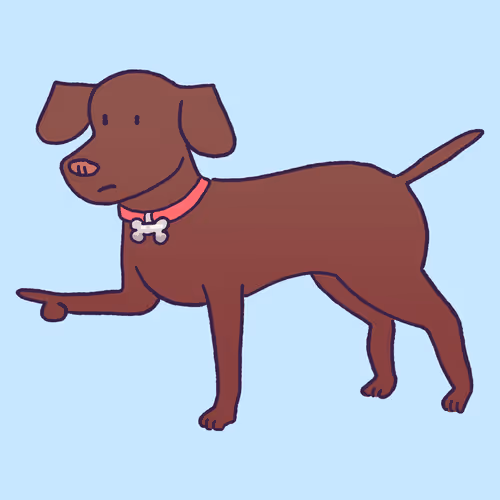 Pointer #144