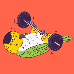 647
