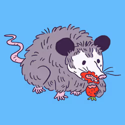 Opossum #1058