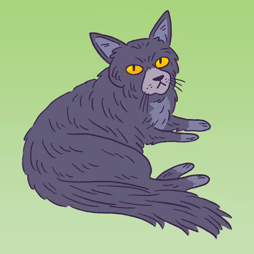 Oriental Longhair #1068