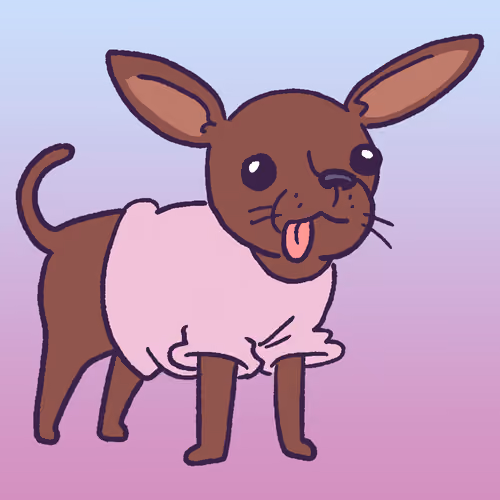 Chihuahua #286