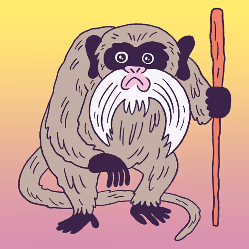 Emperor Tamarin #582