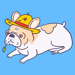 Frenchie #863