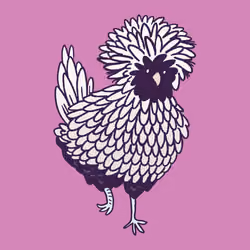 Polish Chicken #2007