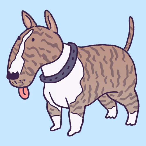 Bull Terrier #189