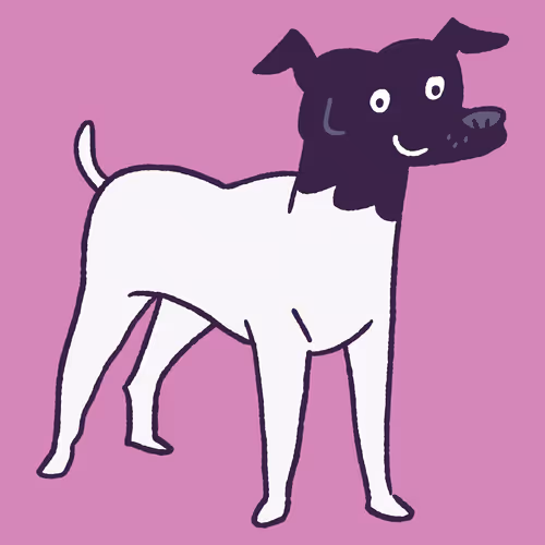 Japanese Terrier #578