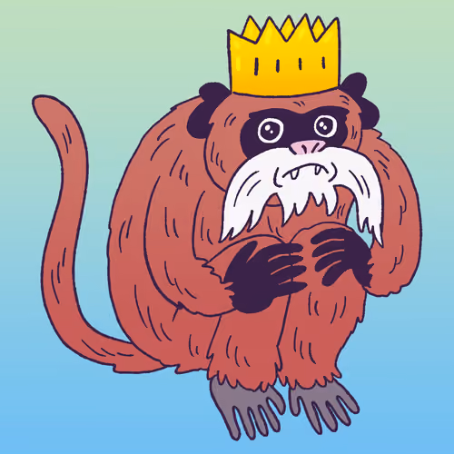 Emperor Tamarin #551