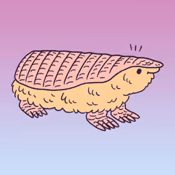 Pink Fairy Armadillo #1363