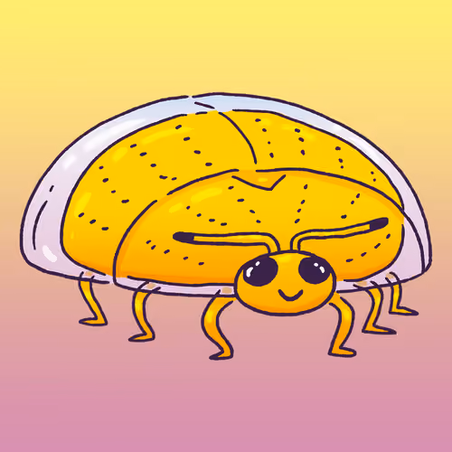 Golden Tortoise Beetle #1095