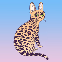 Bengal Cat #1088