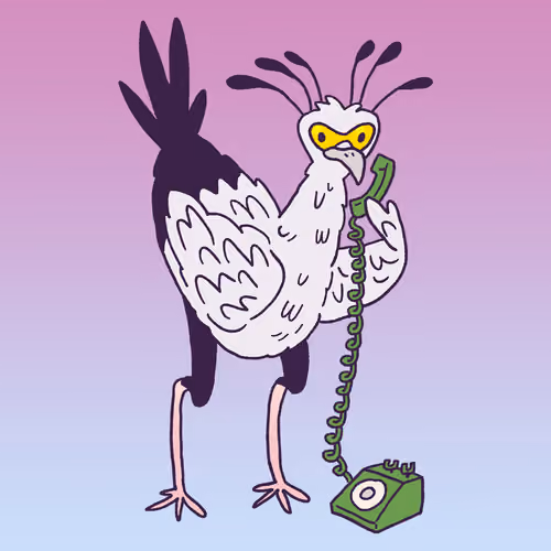Secretary Bird #1572