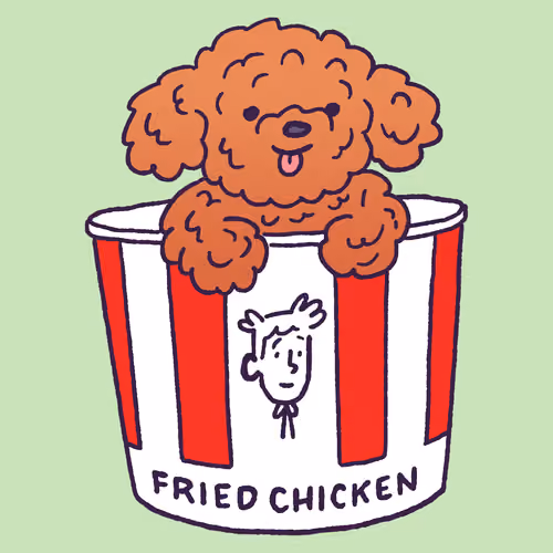 Poodle #950