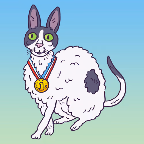 1615st Place Cornish Rex #1898