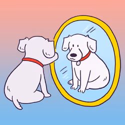 Labrador Retriever #84