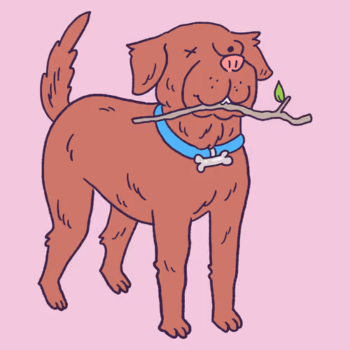 Labrador Retriever #957