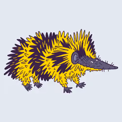 Lowland Streaked Tenrec #1342