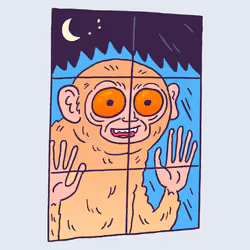 Night Monkey #1843