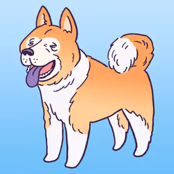 Akita #882