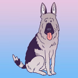 German Shepherd #153
