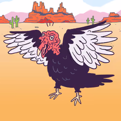 Turkey Vulture #550