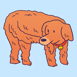 561