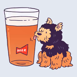 Yorkie #1617