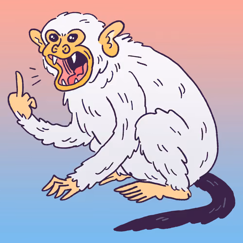 Silvery Marmoset #806