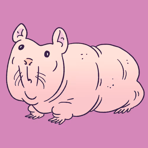 Hairless Guinea Pig #169