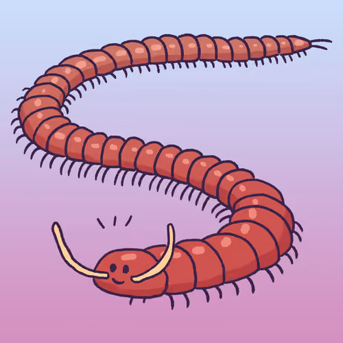 Centipede #1152
