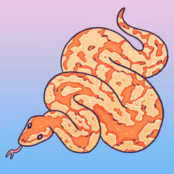 224