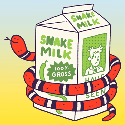 Milk Snake #27